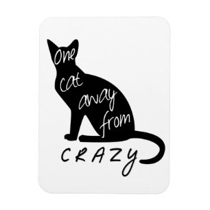 One cat away from CRAZY Magnet