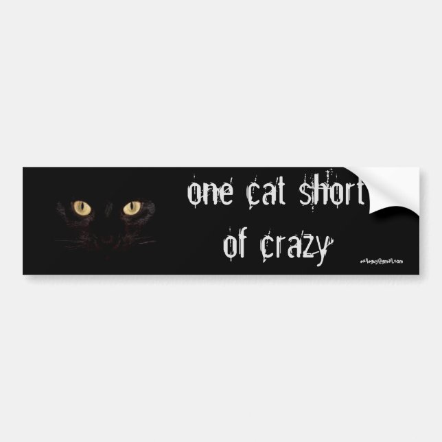 one cat short bumper sticker (Front)