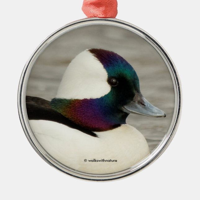 One Curious Bufflehead Metal Tree Decoration (Front)