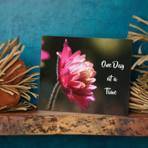 One Day At A Time Quote Flower In Sunlight Plaque
