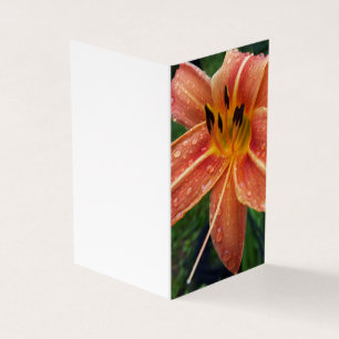 One day lily