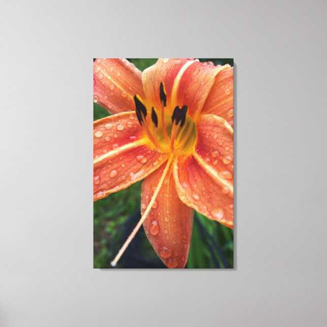 One day lily canvas print (Front)