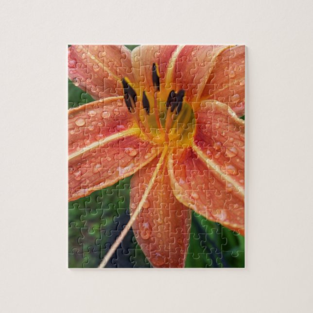 One day lily jigsaw puzzle (Vertical)