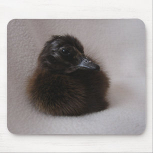 One Day Old Duckling Mouse Mat