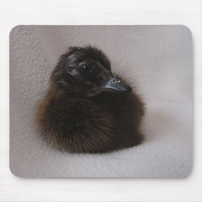 One Day Old Duckling Mouse Mat (Front)