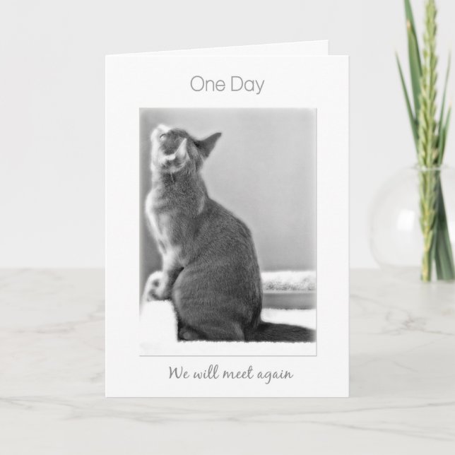 "One Day We'll meet again" cat sympathy Card (Front)