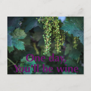 One day you'll be wine. postcard