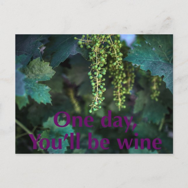 One day you'll be wine. postcard (Front)