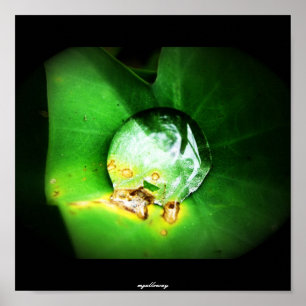 one drop poster