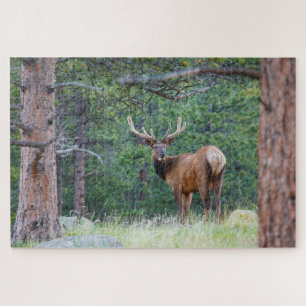 One Elk Looking Back   Rocky Mountains Jigsaw Puzzle