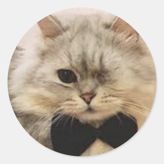 One-eyed Cat Classic Round Sticker (Front)