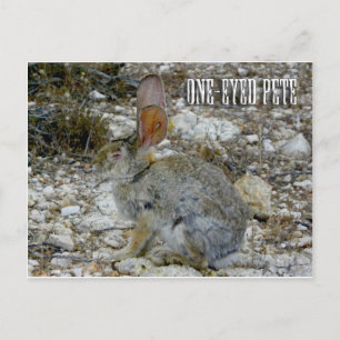 One-Eyed Pete Postcard