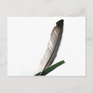 One Feather Postcard
