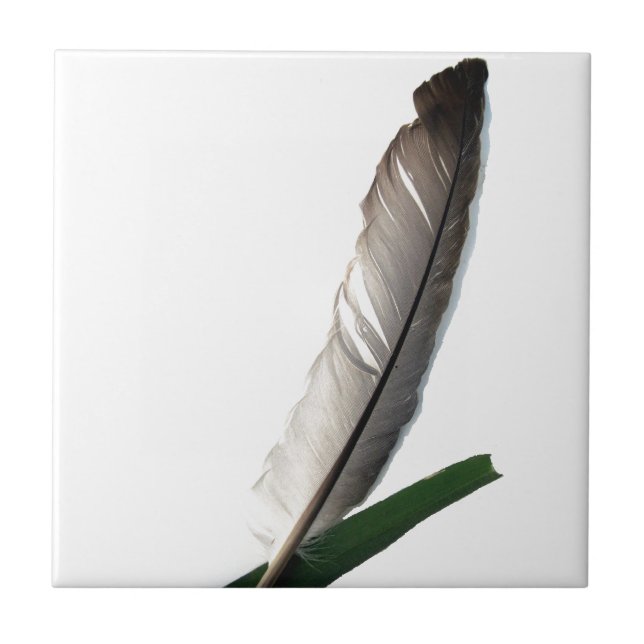 One Feather Tile (Front)