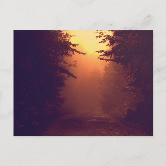 One Foggy Morning Postcard (Front)