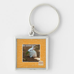 One Garden Down� Key Ring