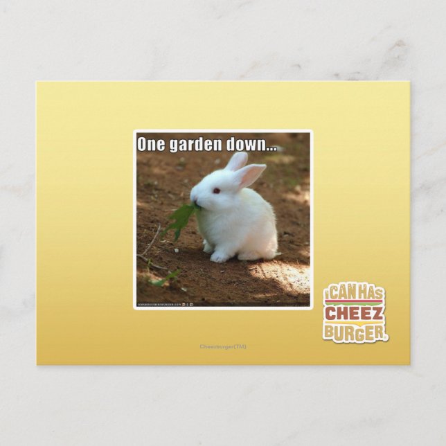 One Garden Down� Postcard (Front)