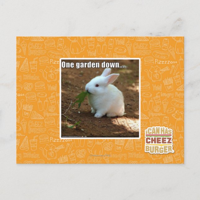 One Garden Down � Postcard (Front)