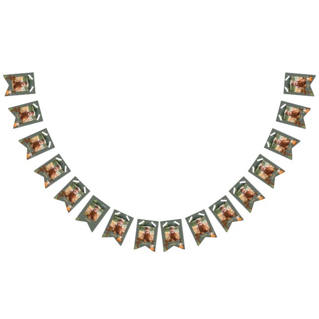 One Happy Camper Birthday Monthly Photo Bunting (All)