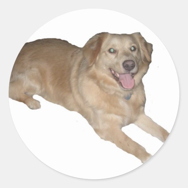 One Happy Dog! Classic Round Sticker (Front)