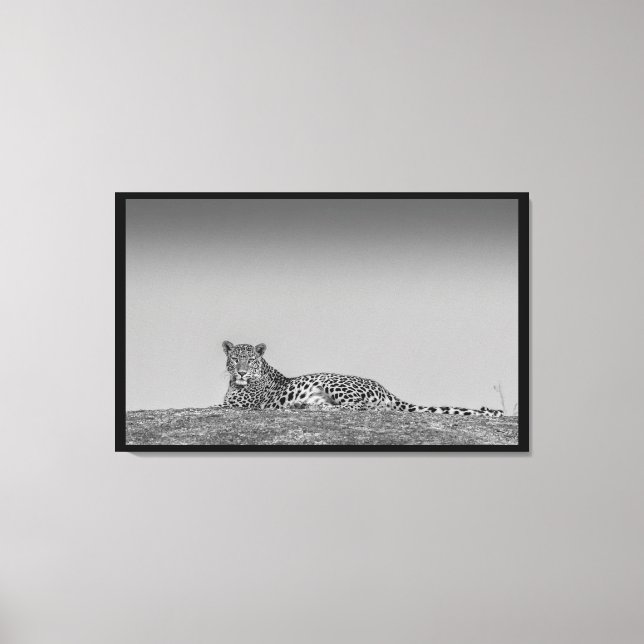 One Illusive Leopard Black & White Canvas Wall Art (Front)