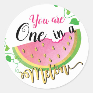 One in a Melon Birthday Watermelon stickers
