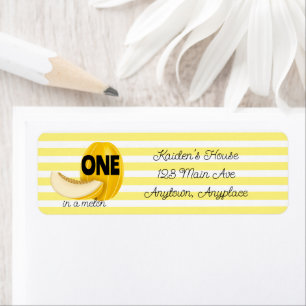 One in a Melon First 1st Birthday Party Address