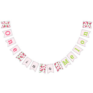 One in a Melon Watermelon Baby Girl's 1st Birthday Bunting