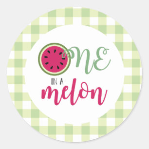 One in a Melon Watermelon First Birthday Classic Round Sticker