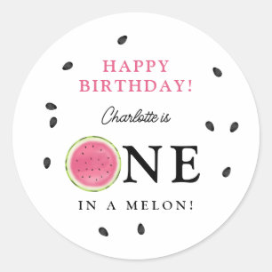 One in a Melon Watermelon Summer Birthday Classic Round Sticker