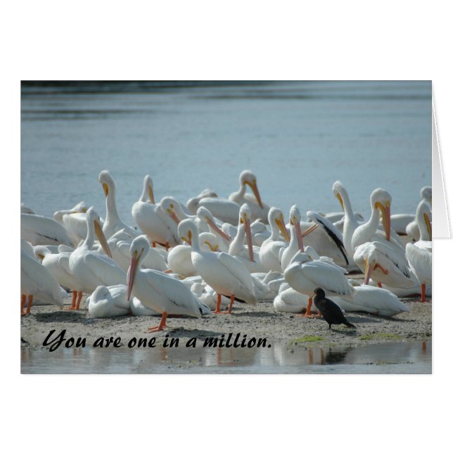 ONE IN A MILLION: CARD (Front Horizontal)