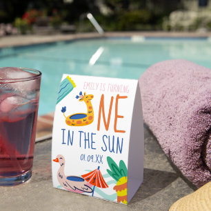 One in in the sun first birthday party pool doodle