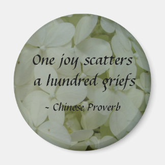 One joy scatters a hundred griefs magnet