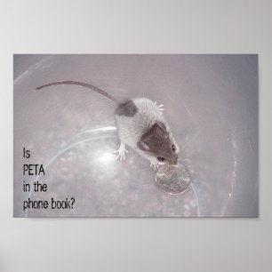 One Last Call Poster