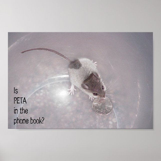 One Last Call Poster (Front)