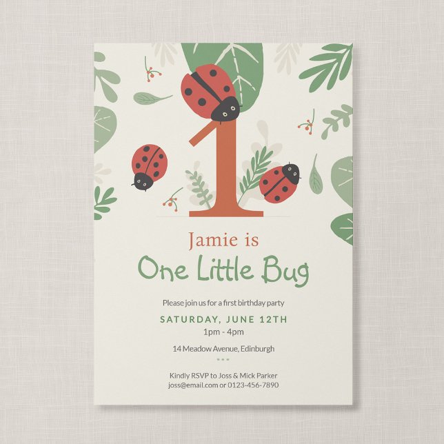 One Little Bug Ladybug Boutique First Birthday Invitation (Ladybird Meadow - One Little Bug Invitation, Front)