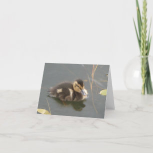 One Little Duckling Greeting Card