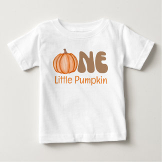 One Little Pumpkin Baby's 1st Birthday Baby T-Shirt