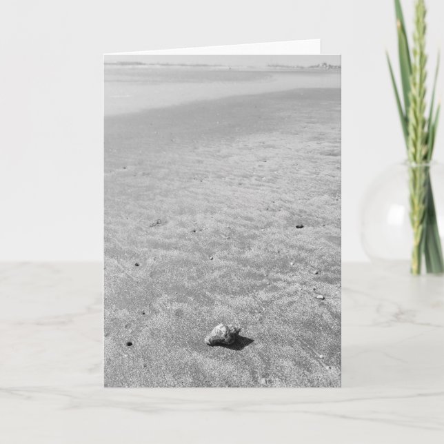 One Little Seashell Blank Greeting Card (Front)