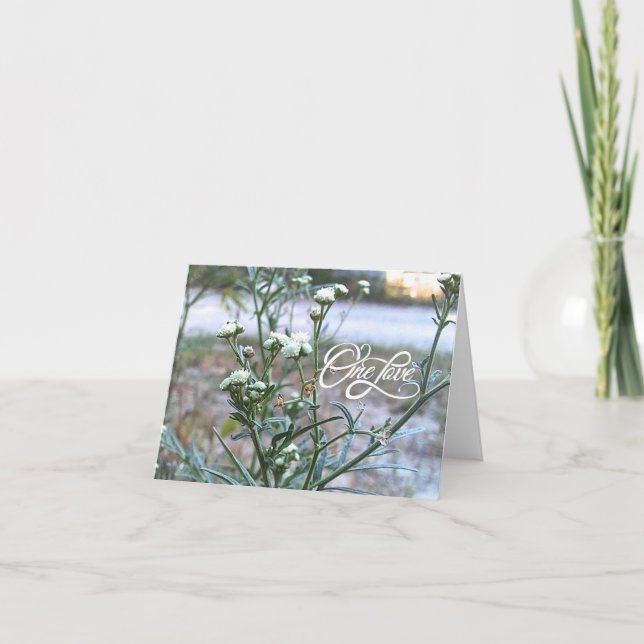 One Love, White Wildflower, Nature Art Blank Card (Front)