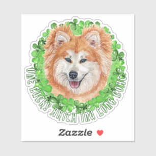One Lucky Akita Inu Long Coat St. Patrick Dog