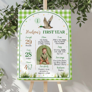 One Lucky Duck Green Gingham Birthday Milestone Poster