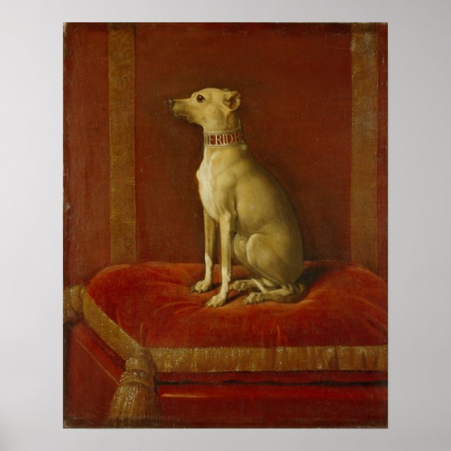One of Frederick II's Italian greyhounds Poster (Front)