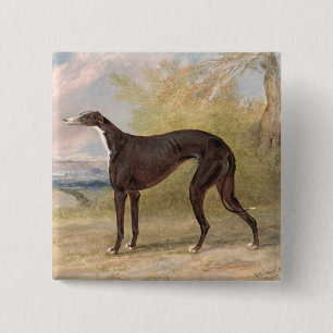 One of George Lane Fox's Winning Greyhounds: the B 15 Cm Square Badge