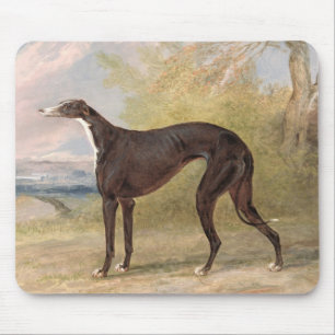 One of George Lane Fox's Winning Greyhounds: the B Mouse Mat