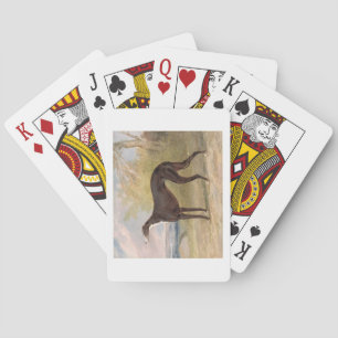 One of George Lane Fox's Winning Greyhounds: the B Playing Cards