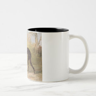 One of George Lane Fox's Winning Greyhounds: the B Two-Tone Coffee Mug