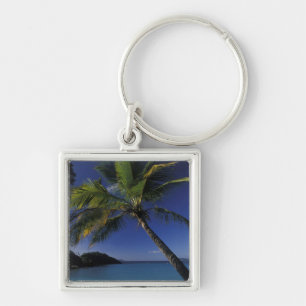 One of the World's Best beaches; Trunk Bay on Key Ring