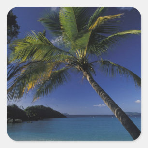 One of the World's Best beaches; Trunk Bay on Square Sticker