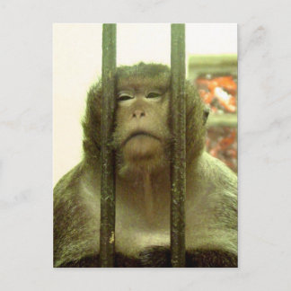 One of those days.... postcard